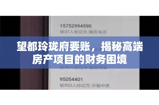 望都玲珑府要账，揭秘高端房产项目的财务困境