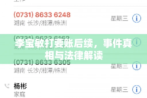 李宝敏打要账后续，事件真相与法律解读