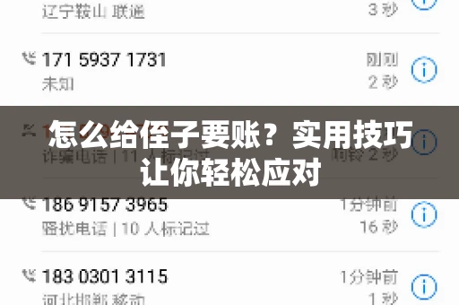 怎么给侄子要账？实用技巧让你轻松应对