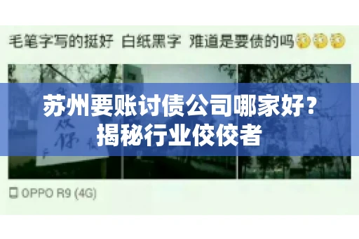 苏州要账讨债公司哪家好?揭秘行业佼佼者 苏州要账讨债公司哪家好?揭秘行业佼佼者