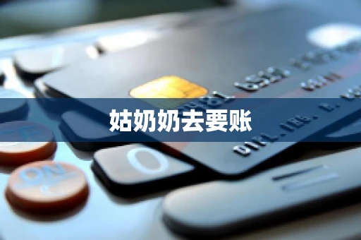 姑奶奶去要账