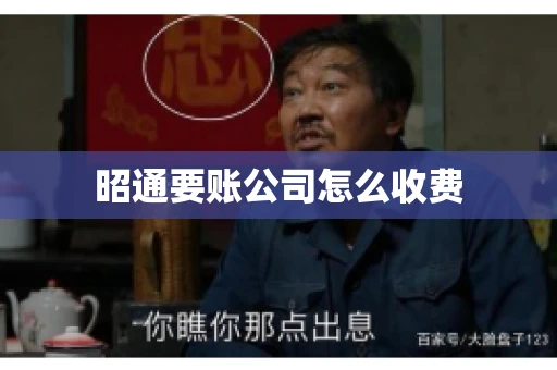昭通要账公司怎么收费