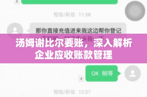 汤姆谢比尔要账，深入解析企业应收账款管理