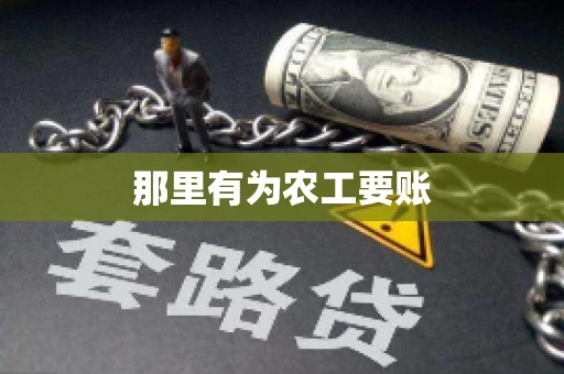 那里有为农工要账