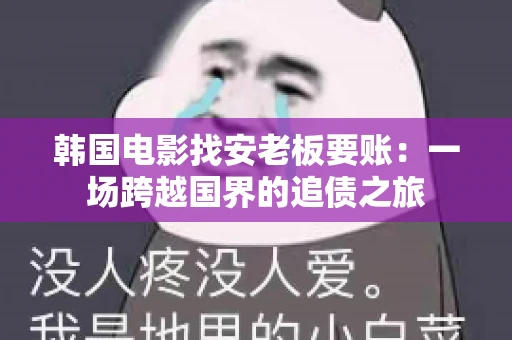韩国电影找安老板要账:一场跨越国界的追债之旅 韩国电影找安老板要账:一场跨越国界的追债之旅