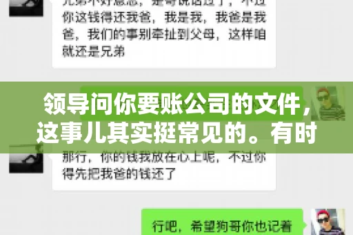 领导问你要账公司的文件，这事儿其实挺常见的。有时候，你可能一头雾水，不知道从何下手。今天，我就来和大家聊聊这个话题，希望能帮到大家。