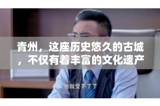 青州，这座历史悠久的古城，不仅有着丰富的文化遗产，还有着繁忙的经济活动。在商业往来中，难免会遇到一些欠款问题，这时候，找一家专业的要账公司就显得尤为重要。那么，青州有帮人要账的吗？答案是肯定的。下面，我就来为大家详细介绍一下青州地区的要账服务。