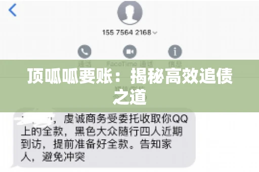 顶呱呱要账：揭秘高效追债之道