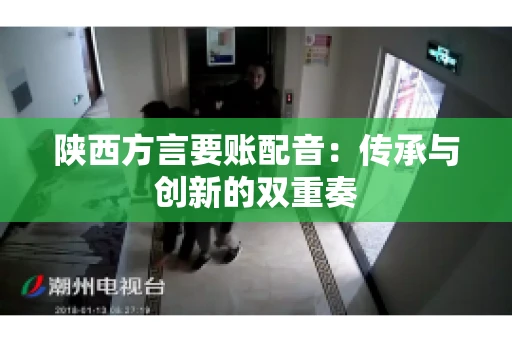 陕西方言要账配音：传承与创新的双重奏