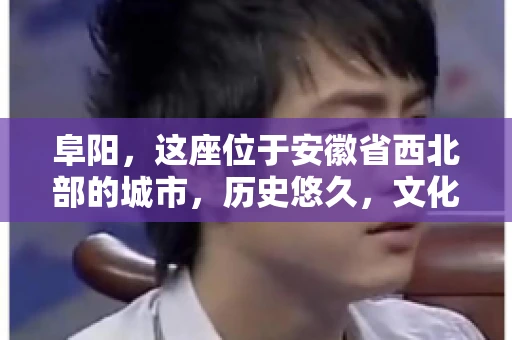 阜阳，这座位于安徽省西北部的城市，历史悠久，文化底蕴深厚。近年来，随着经济的发展，商业活动日益频繁，随之而来的是应收账款的管理问题。那么，阜阳有木有要账公司呢？今天，我们就来聊聊这个话题。