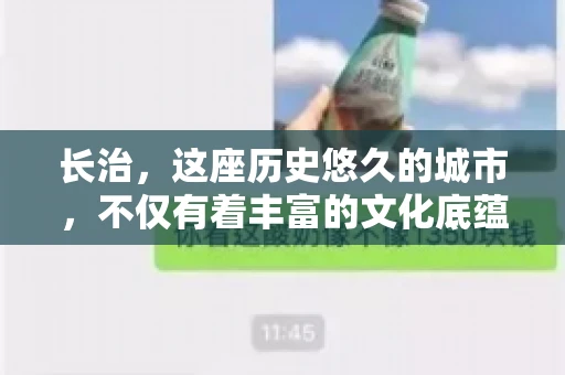 长治，这座历史悠久的城市，不仅有着丰富的文化底蕴，也是商业活动频繁的地方。那么，长治有要账公司吗？这个问题对于许多企业来说至关重要。今天，我们就来聊聊长治的这些要账公司，看看它们能为企业和个人提供哪些服务。