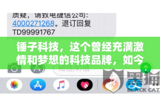 锤子科技，这个曾经充满激情和梦想的科技品牌，如今却陷入了要账的困境。今天，我们就来聊聊锤子科技要账的那些事儿。