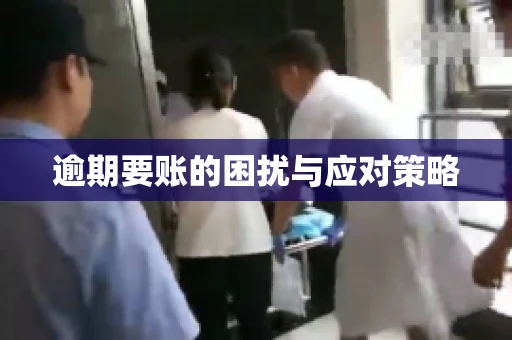 逾期要账的困扰与应对策略